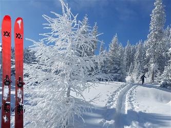 Bild zu Schitour - Schneeberg mit Übernachtung (Rieshütte)