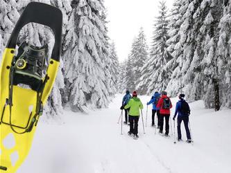 Bild zu Schneeschuhtour - Erzkogel (1.504m)